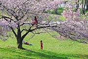 Ostern im Olympiapark (Foto: Ingrid Grossmann)